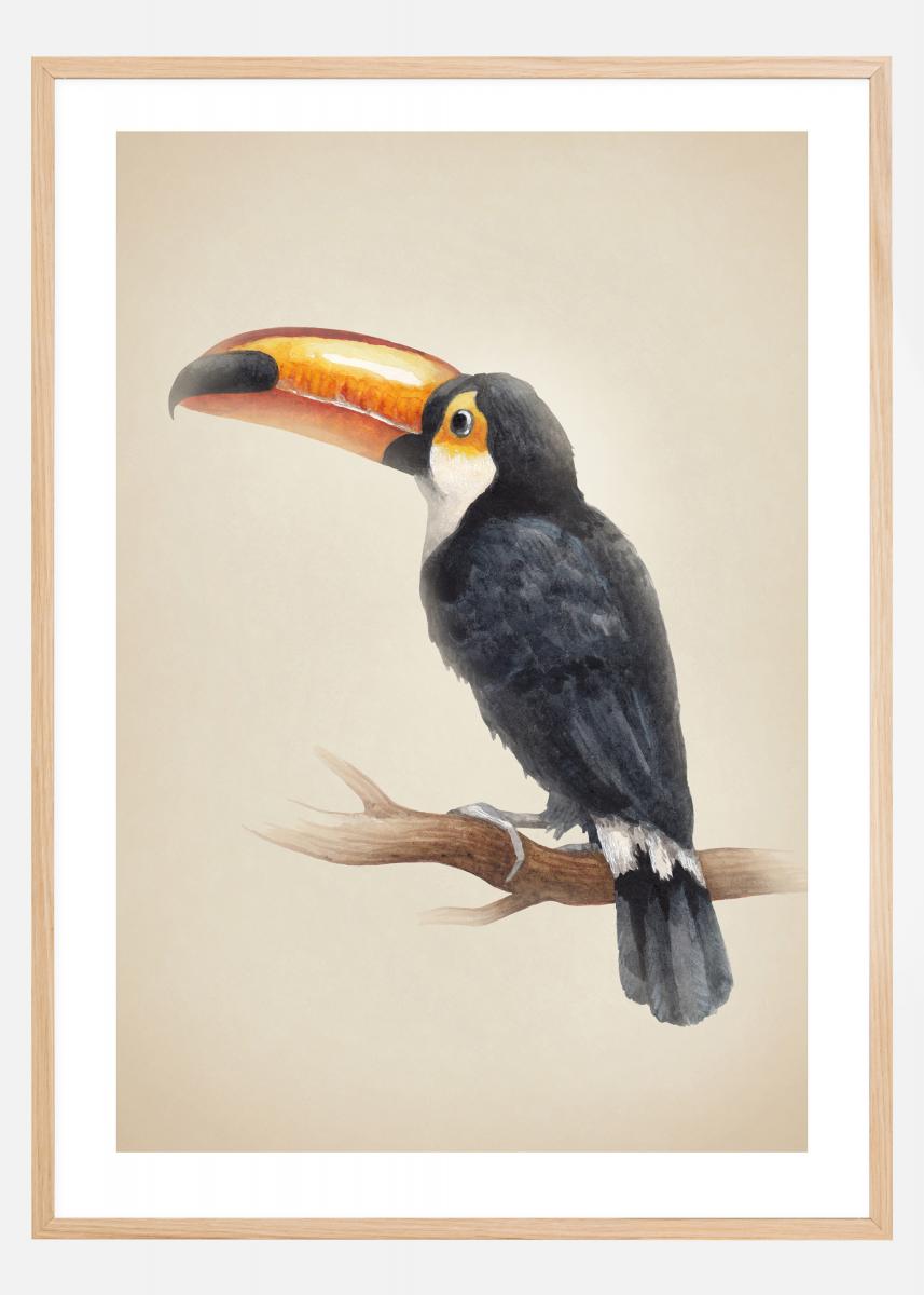 Lagervaror egen produktion Tropical Toucan Poster