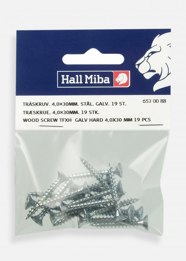 Hallmiba Houtschroef TFXH 4,0x30 mm staal gegalvaniseerd gehard 19 stuks