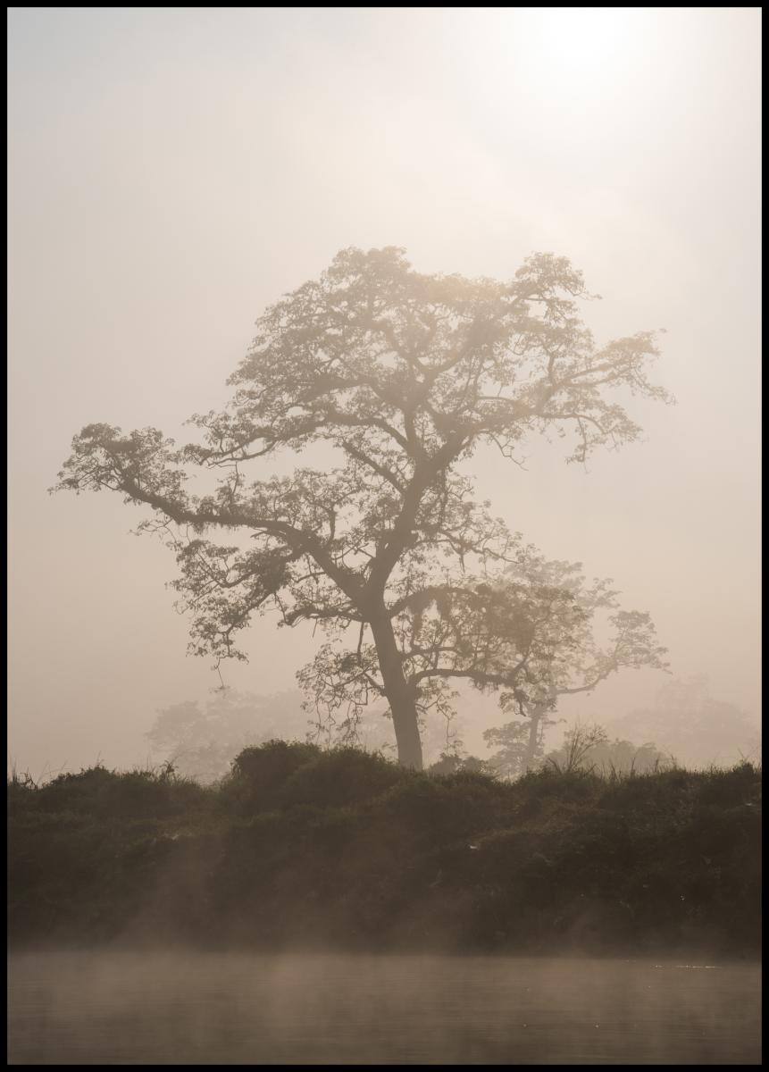 Lagervaror egen produktion Misty Tree Poster