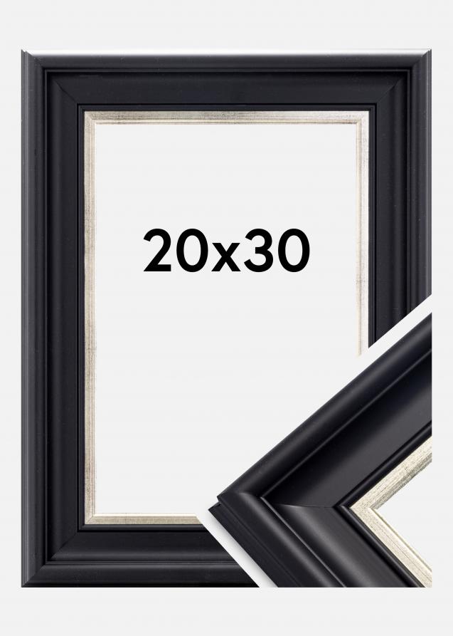 Galleri 1 Fotolijst Dalarna Acrylglas Zwart-Zilver 20x30 cm