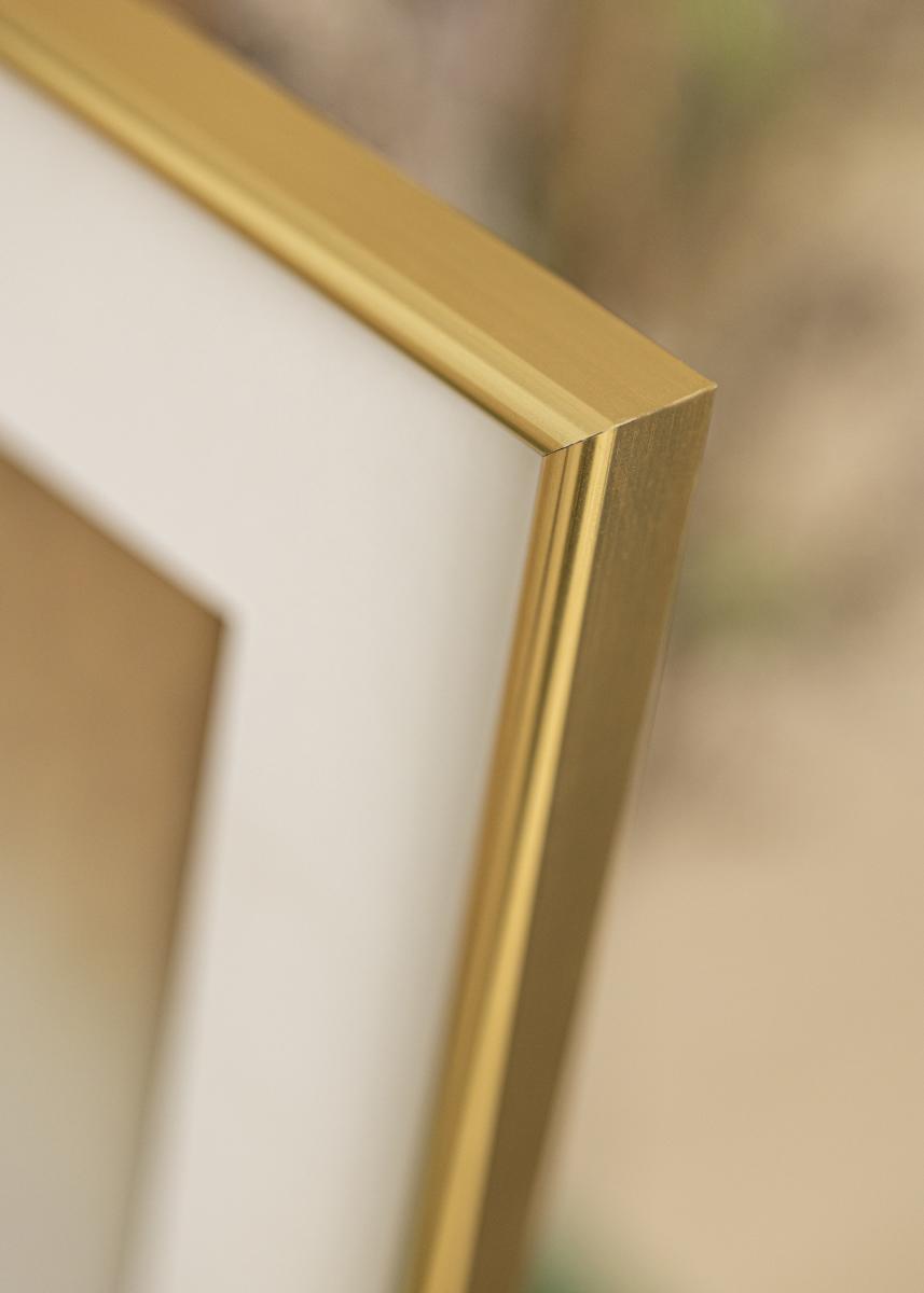 Walther Fotolijst Galeria Goud 60x80 cm