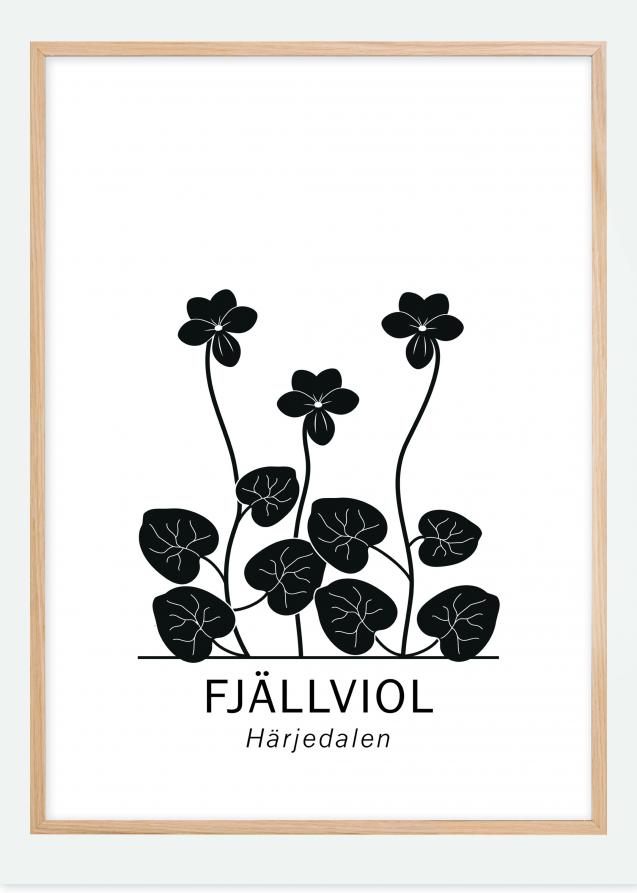 Bildverkstad Tweebloemig viooltje - Härjedalen Poster