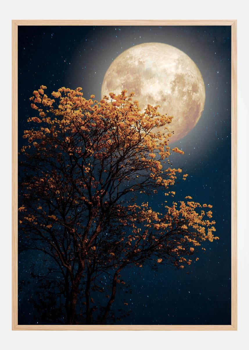 Bildverkstad Tree in moonlight Poster