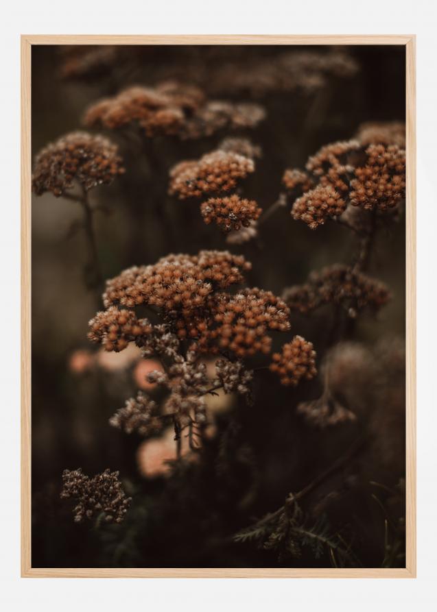 Bildverkstad Cow Parsley Poster