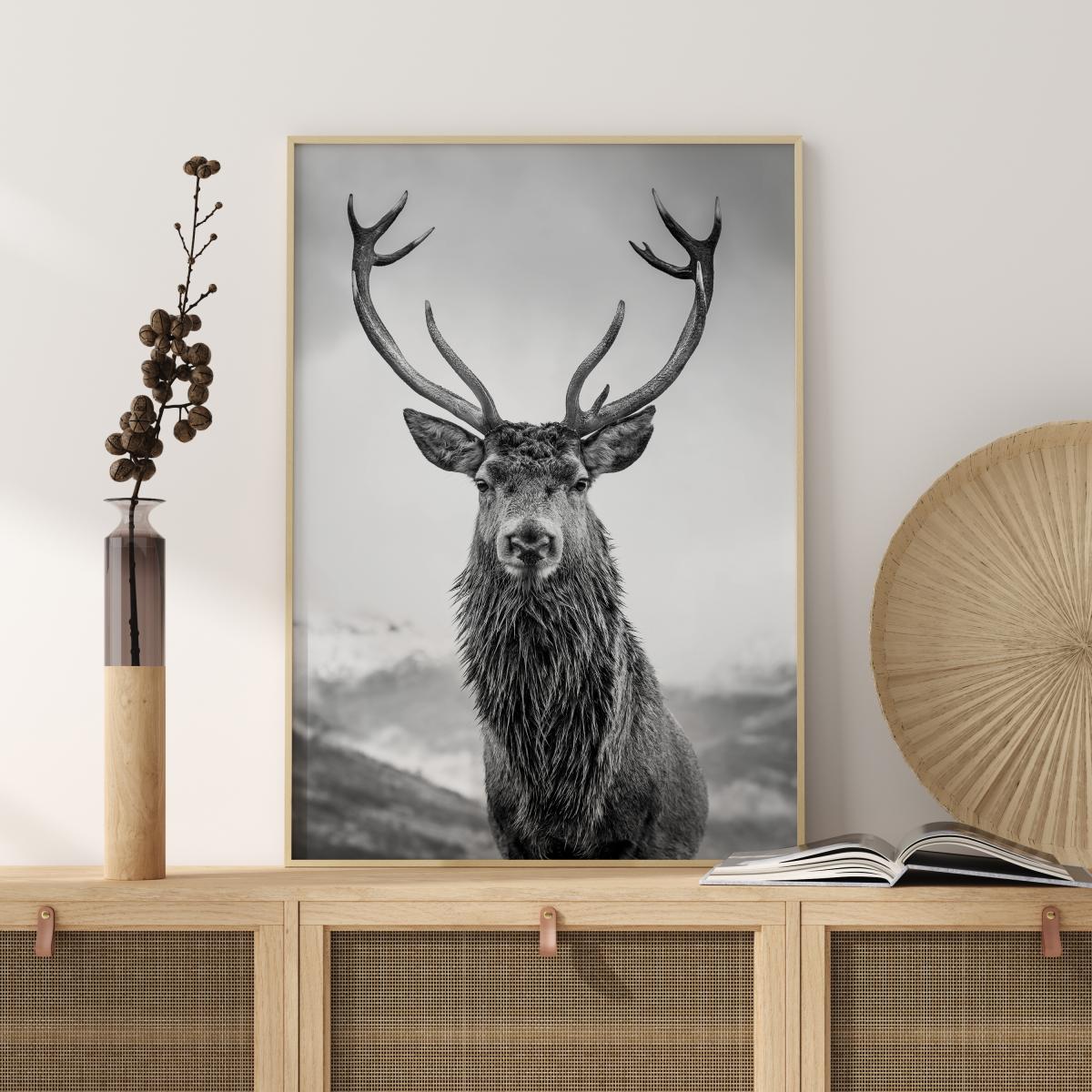 Bildverkstad Curious Deer Poster
