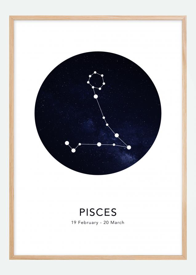 Lagervaror egen produktion Pisces Poster