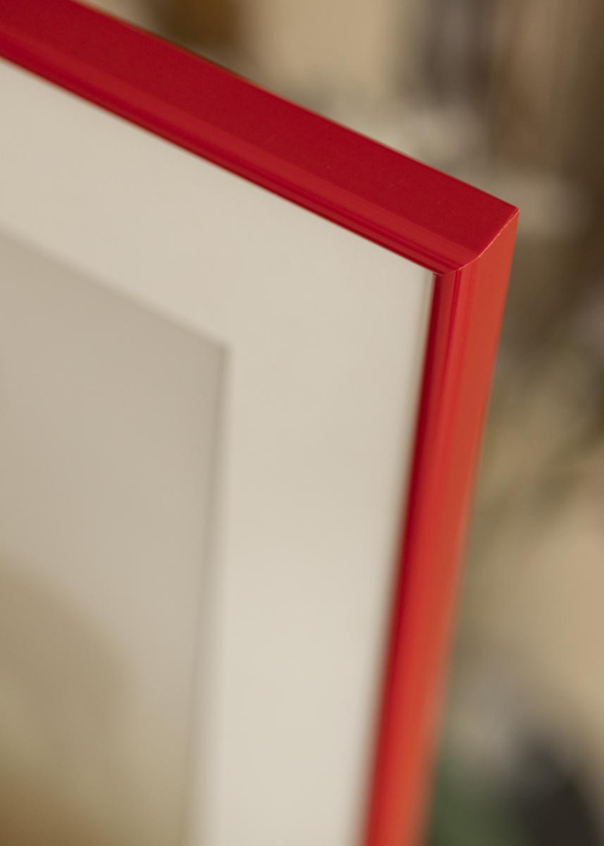 Walther Fotolijst Galeria Rood 50x70 cm