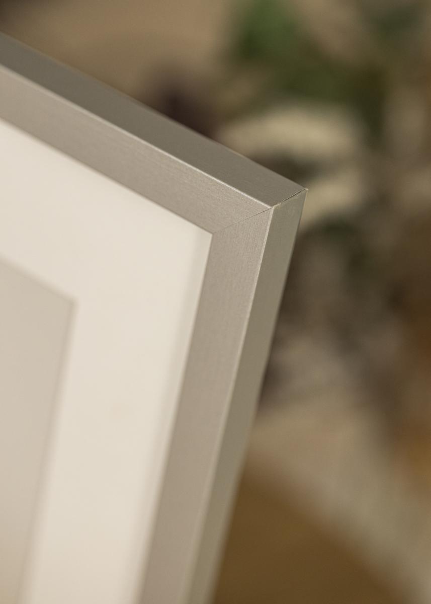 Artlink Fotolijst Selection Acrylglas Zilver 30x40 cm