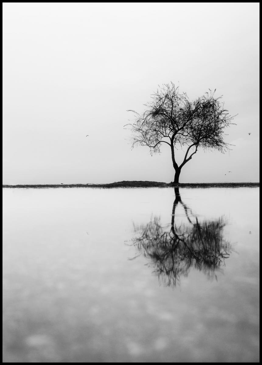 Bildverkstad Lonely Tree Reflection Poster