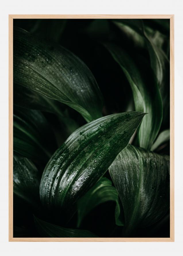Bildverkstad Plant Poster