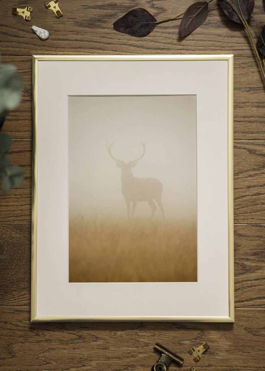 Artlink Fotolijst Poster Aluminum Gold 21x29,7 cm (A4)