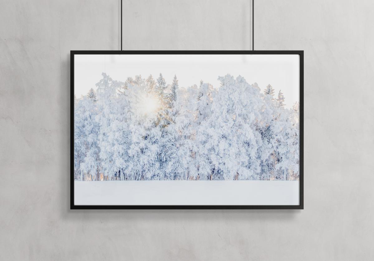 Bildverkstad Winter light Poster