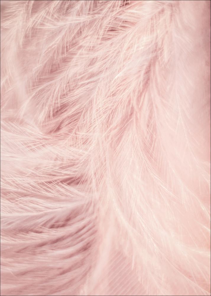 Bildverkstad Pink Feathers