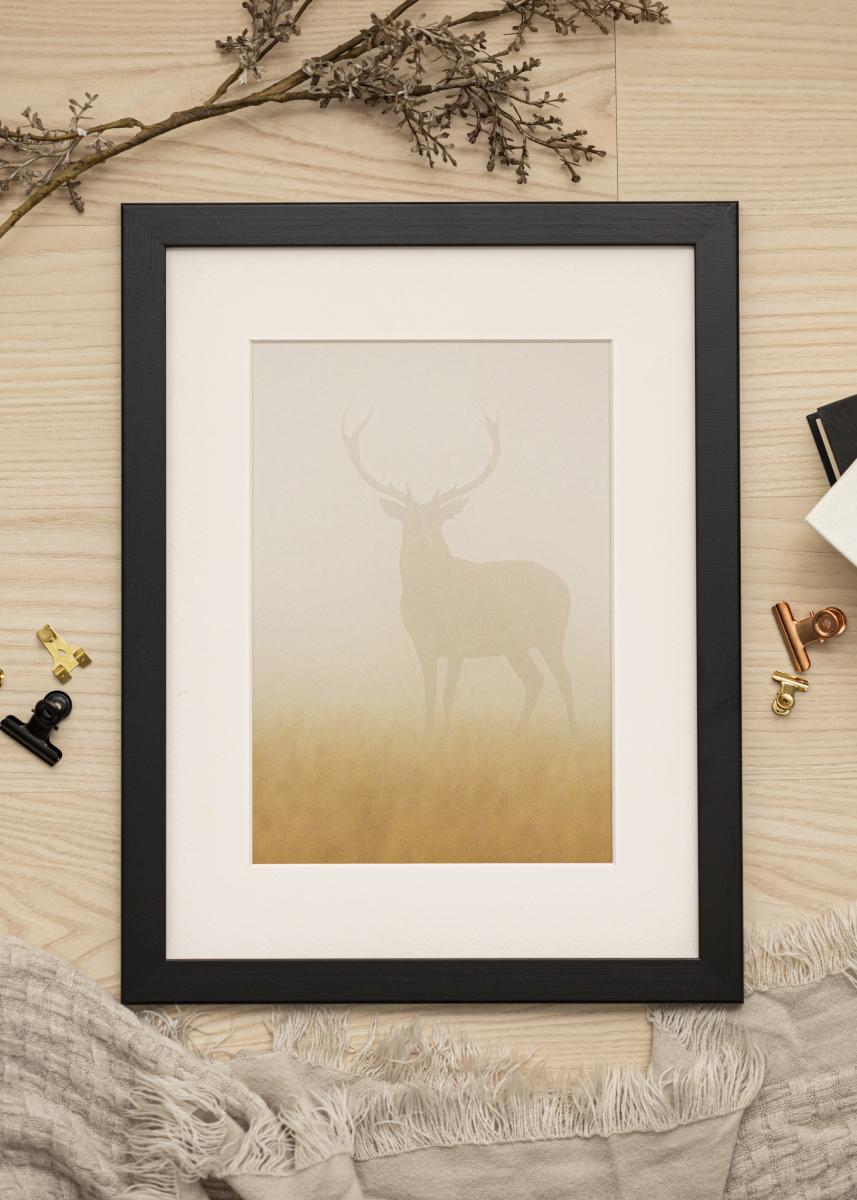 Artlink Fotolijst Trendline Acrylglas Zwart 22x28 inches (55,88x71,12 cm)