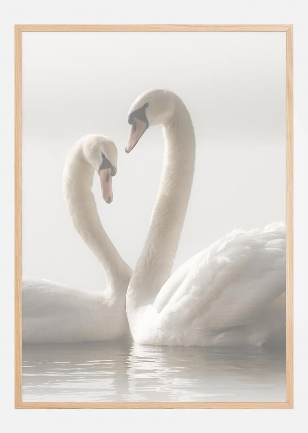 Bildverkstad Swan Forever Poster