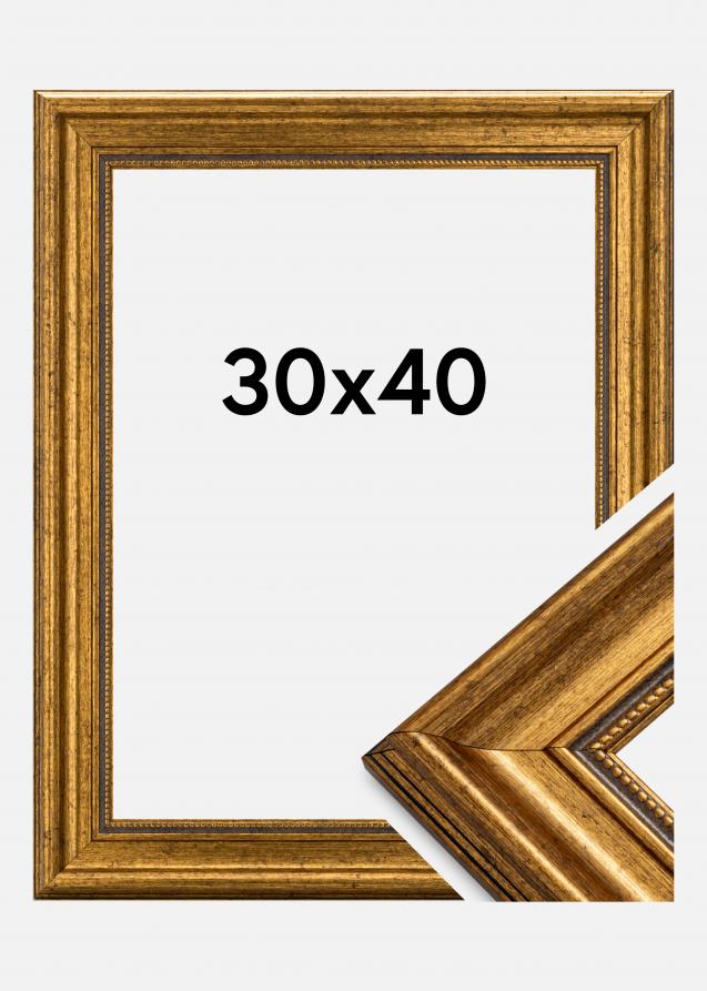 Estancia Fotolijst Rokoko Acrylglas Goud 30x40 cm