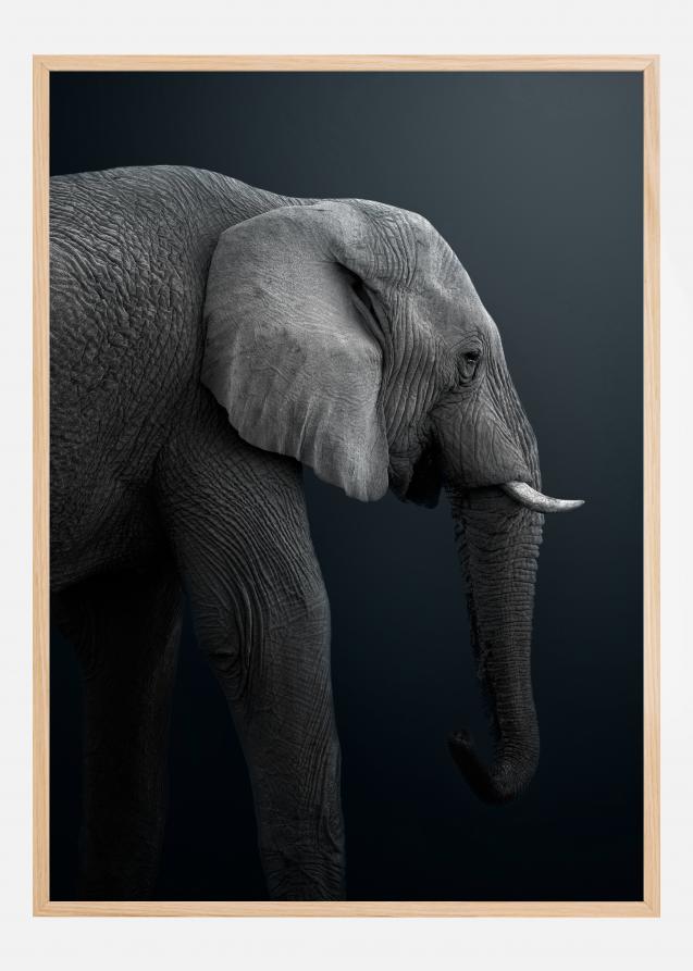 Bildverkstad Namibian Elephant Poster