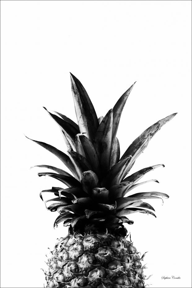Bildverkstad Pineapple B&W Poster