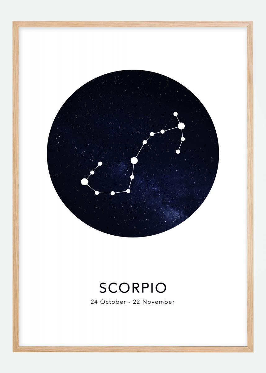 Bildverkstad Scorpio Poster