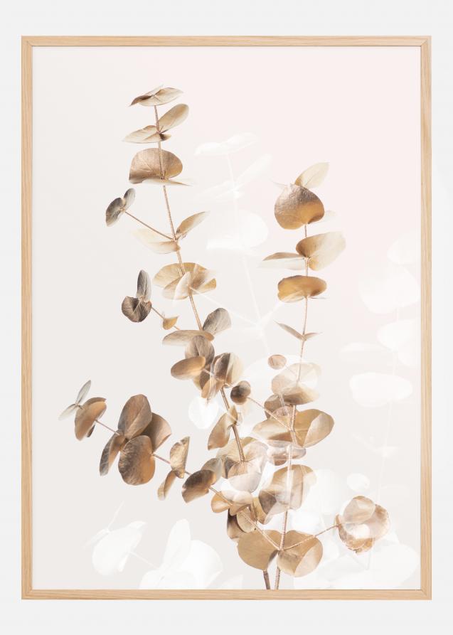 Bildverkstad Eucalyptus Creative Gold II Poster