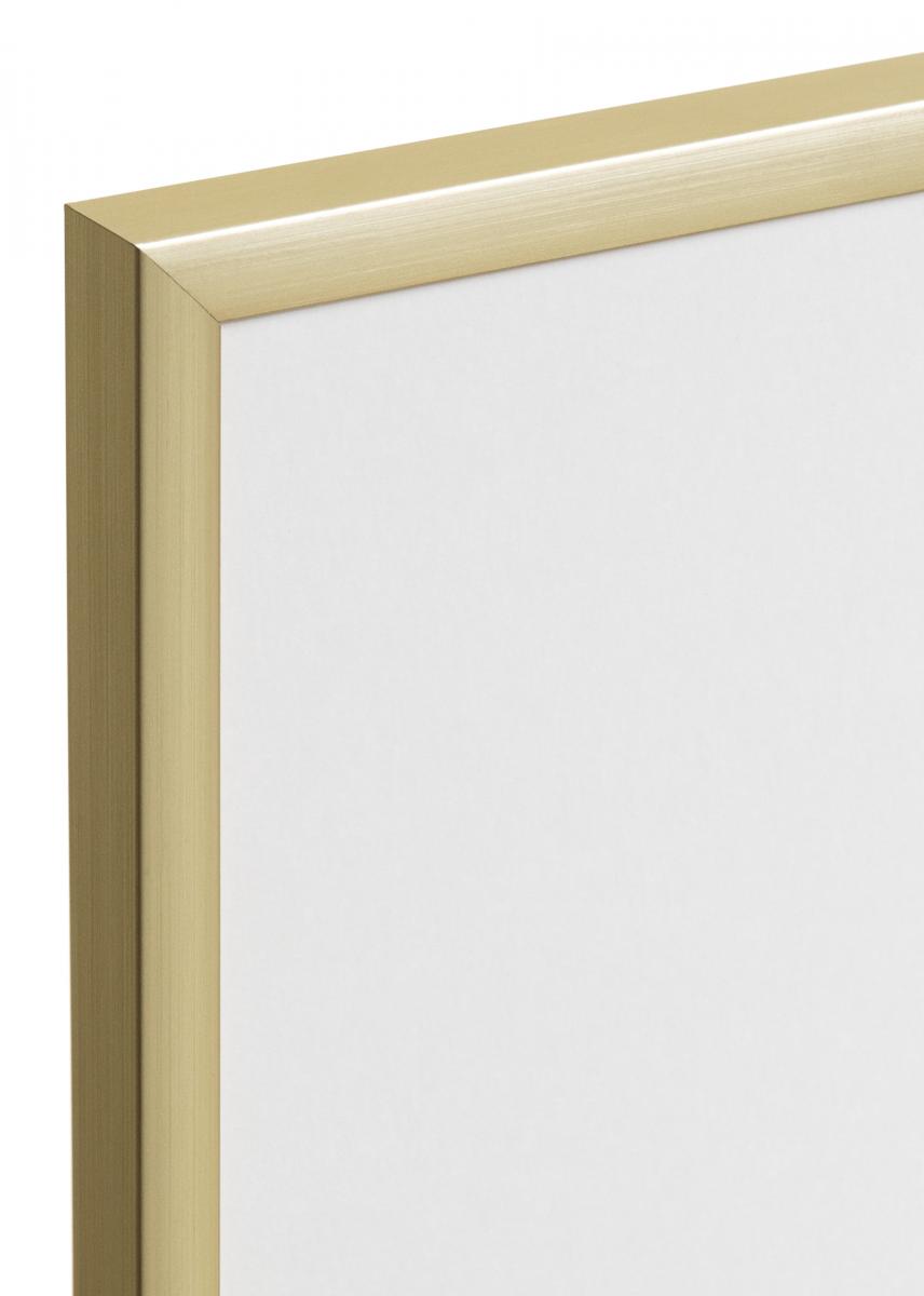 Walther New Lifestyle Plexiglas Goud 29,7x42 cm (A3)