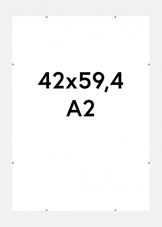 Walther Cliplijst 42x59,4 cm (A2)