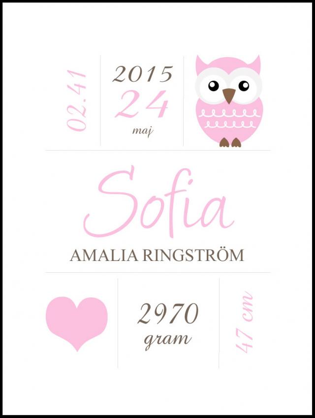 Personlig poster Owl Birth Poster Pink
