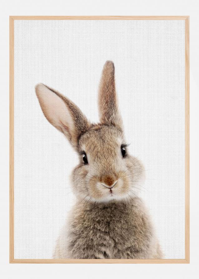 Bildverkstad Peekaboo Bunny Poster