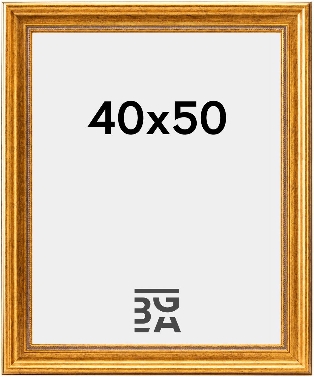 Estancia Fotolijst Rokoko Goud 40x50 cm