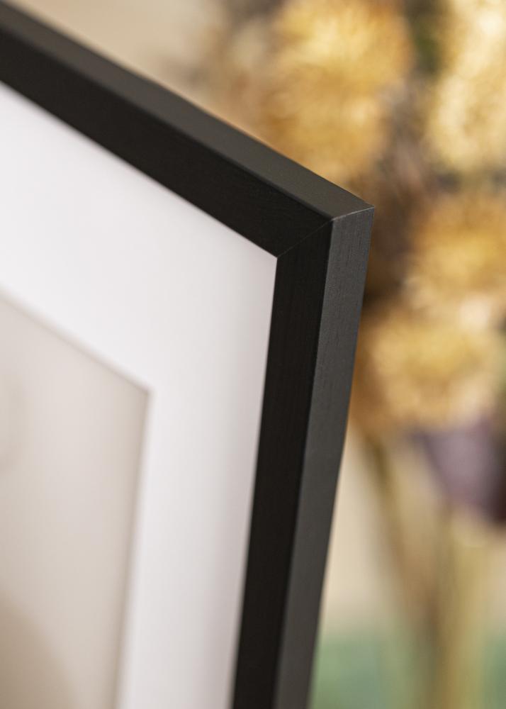 Estancia Fotolijst Stilren Acrylglas Zwart 32,9x48,3 cm (A3+)