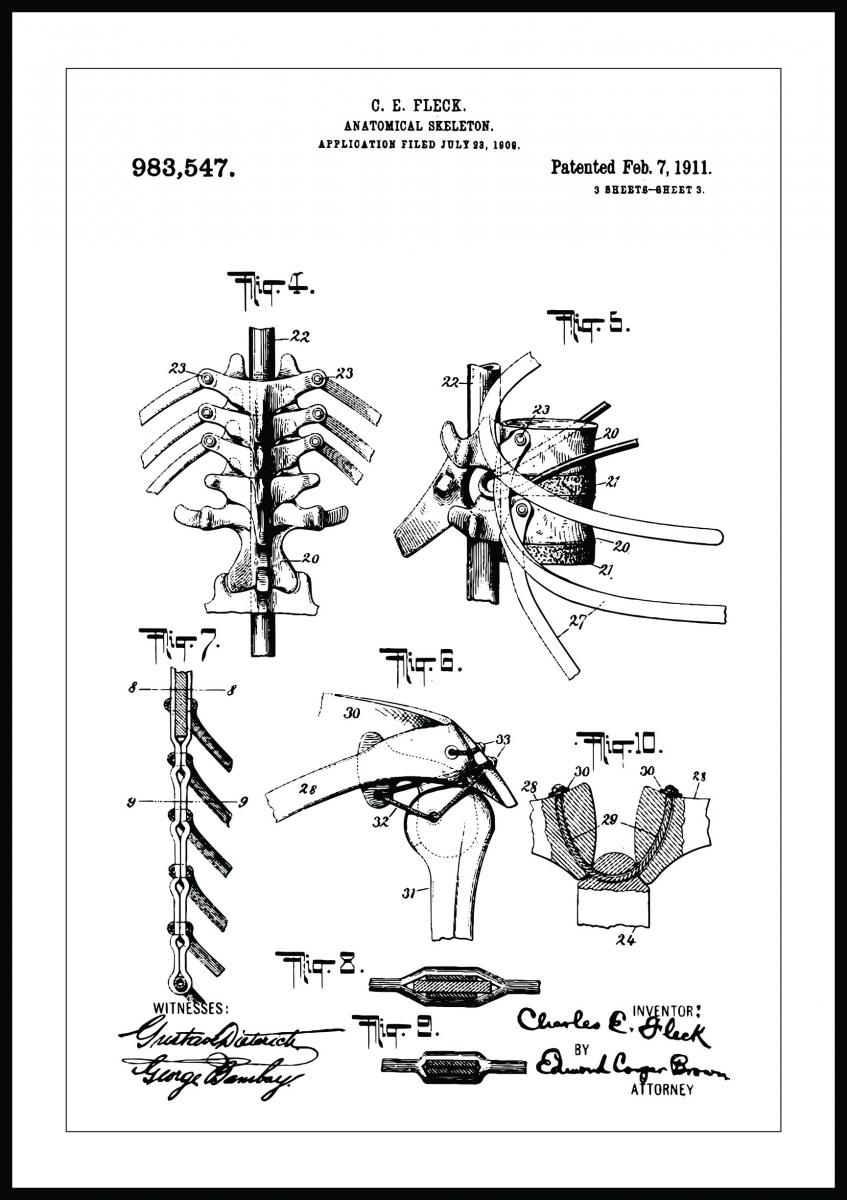 Bildverkstad Patenttekening - Anatomisch skelet III Poster