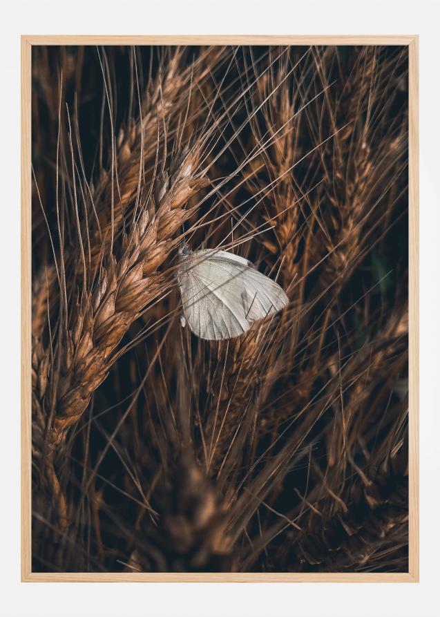 Bildverkstad White Butterfly Poster