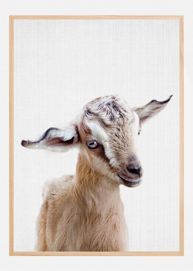 Bildverkstad Peekaboo Baby Goat Poster