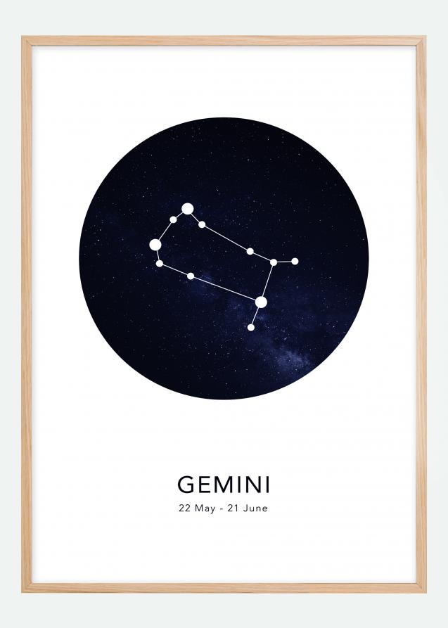 Bildverkstad Gemini Poster