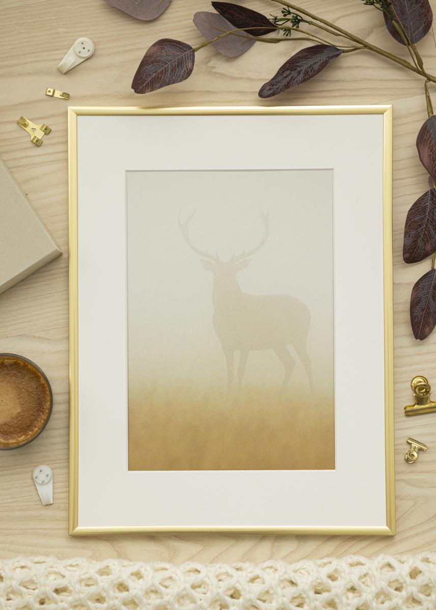 Walther Fotolijst New Lifestyle Acrylglas Goud 29,7x42 cm (A3)