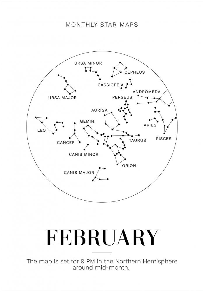 Bildverkstad Monthly star February Poster