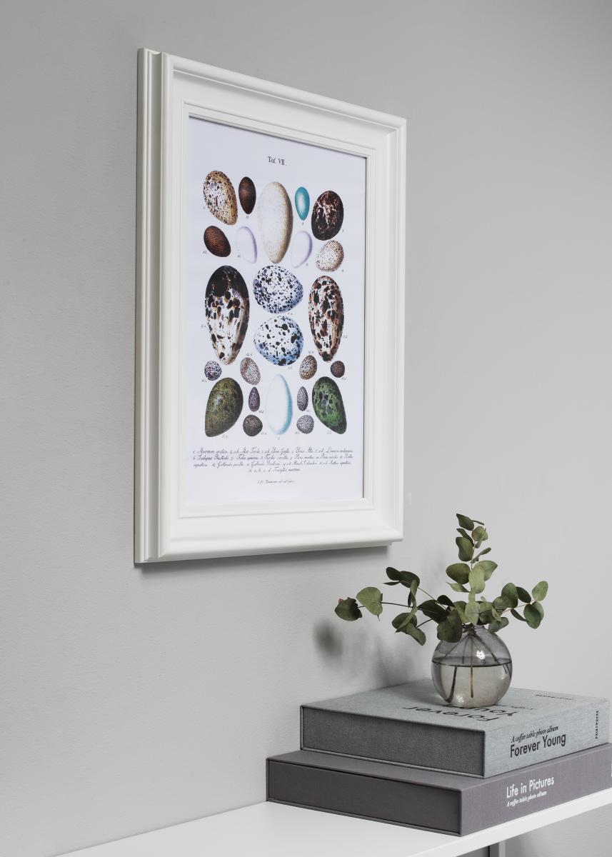 Ramverkstad Fotolijst Mora Premium Wit 70x90 cm