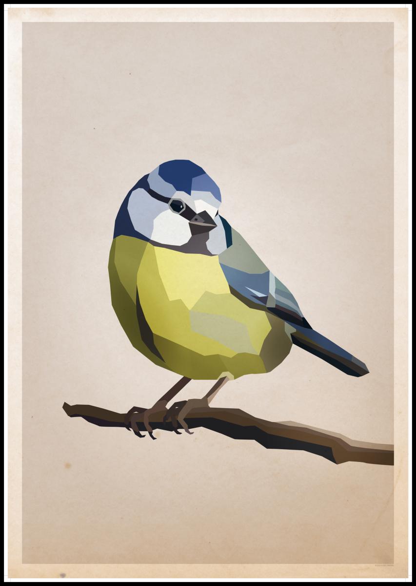 Bildverkstad Blue tit Poster
