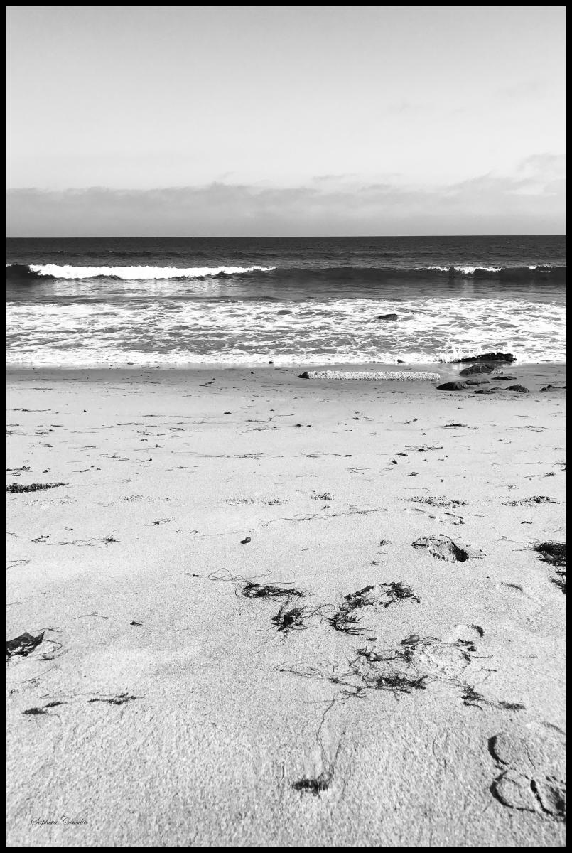 Bildverkstad Malibu Beach sand Poster