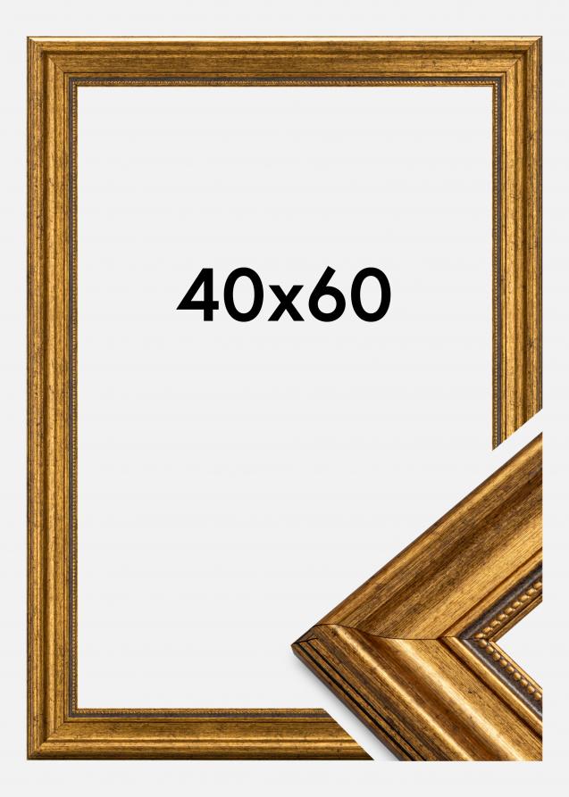 Estancia Fotolijst Rokoko Acrylglas Goud 40x60 cm