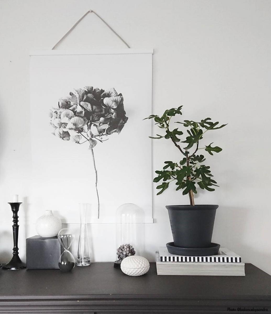 Focus Posterhanger Wit - 30 cm