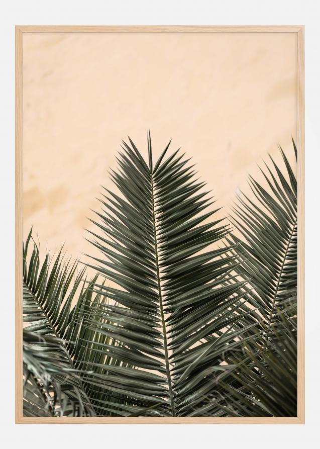 Bildverkstad Palm leaves and wall Poster