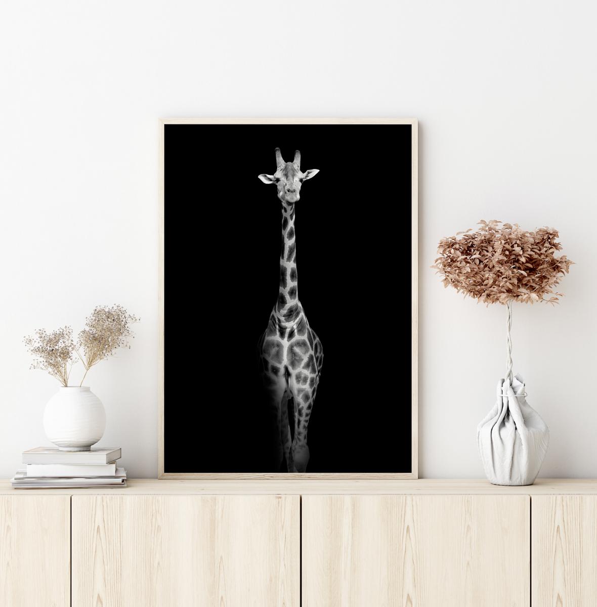 Bildverkstad Stunning giraffe Poster