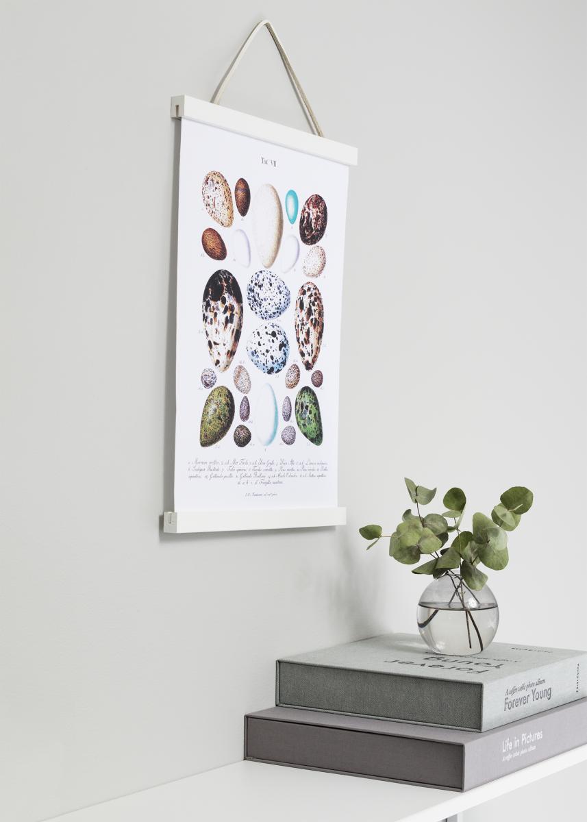 Focus Posterhanger Wit - 30 cm
