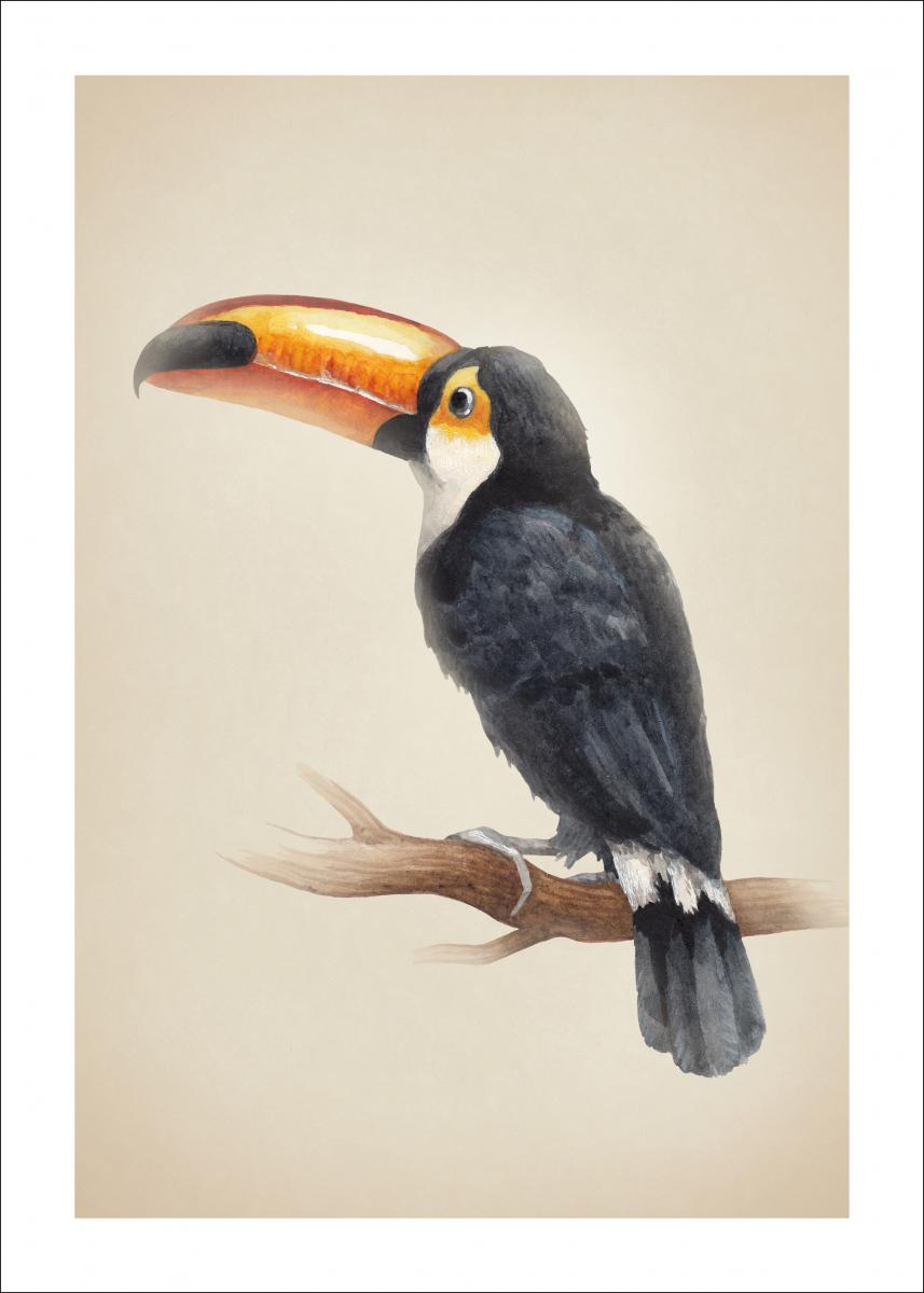 Lagervaror egen produktion Tropical Toucan Poster