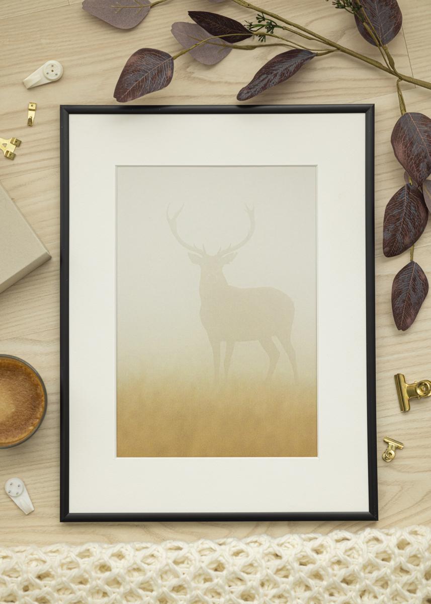 Walther Fotolijst New Lifestyle Acrylglas Mat Zwart 21x29,7 cm (A4)