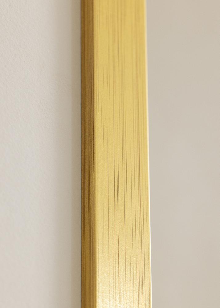 Galleri 1 Fotolijst Gold Wood Acrylglas 24x36 inches (60,94x91,44 cm)