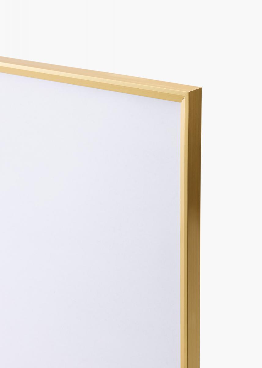 Walther Fotolijst Desire Goud 30x40 cm
