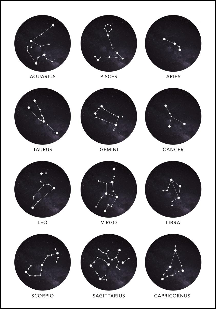 Bildverkstad Zodiac Signs Poster