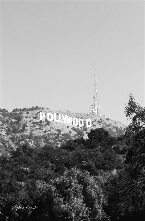 Bildverkstad Hollywood Sign Poster